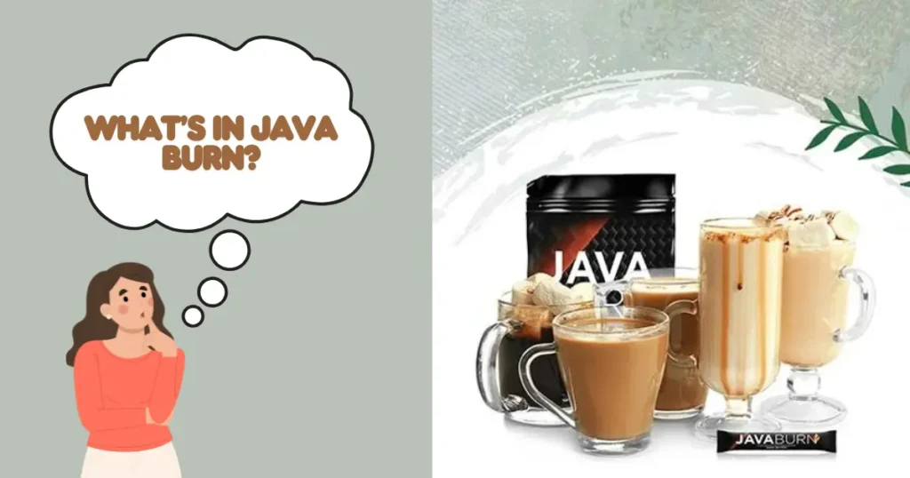 Java Burn Review