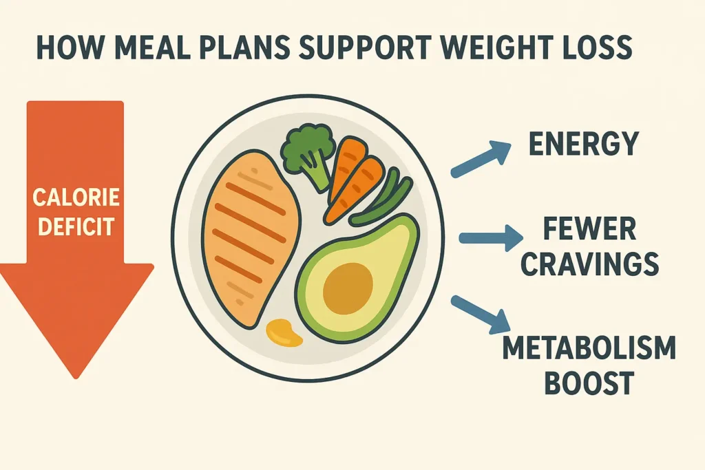Meal Plan for Weight Loss- A flat-style digital infographic illustrates how meal plans support weight loss. A central calorie deficit arrow points downward, with a balanced plate of protein, vegetables, and healthy fats. Additional arrows highlight benefits like increased energy, fewer cravings, and a boosted metabolism. Meal Plan for Weight Loss- A flat-style digital infographic illustrates how meal plans support weight loss. A central calorie deficit arrow points downward, with a balanced plate of protein, vegetables, and healthy fats. Additional arrows highlight benefits like increased energy, fewer cravings, and a boosted metabolism.