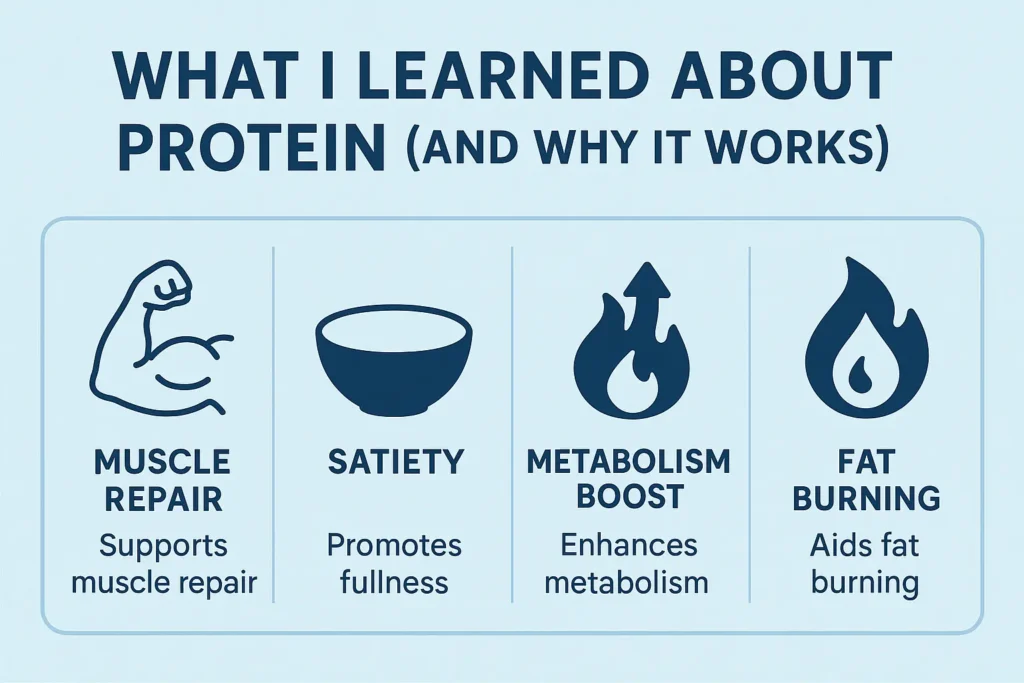 Infographic showing protein benefits: increased fullness, improved metabolism, muscle support, and reduced cravings." High protein foods - Infographic showing protein benefits: increased fullness, improved metabolism, muscle support, and reduced cravings."