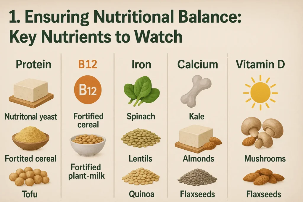 Plant-based sources of protein, vitamins, and minerals arranged around a plate, including tofu, lentils, leafy greens, and nuts Plant-based sources of protein, vitamins, and minerals arranged around a plate, including tofu, lentils, leafy greens, and nuts