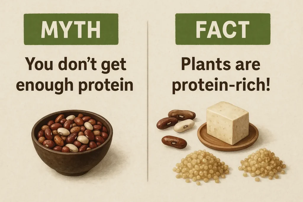 Four labeled myth bubbles with icons—protein, cost, hunger, and eating out—debunked with plant-based food visuals. Four labeled myth bubbles with icons—protein, cost, hunger, and eating out—debunked with plant-based food visuals.